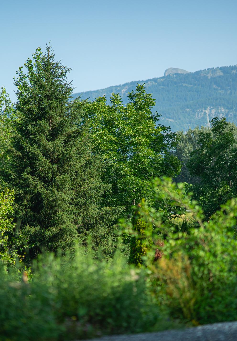 Paysage autour des lodges de Valières, proche du lac de Serre Ponçon
