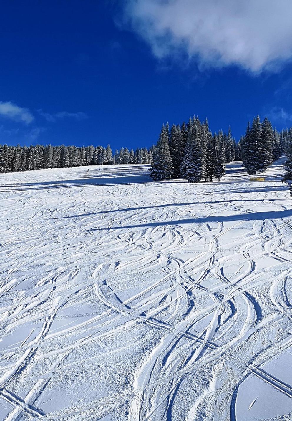traces de ski dans la neige autour des Lodges de Valières, Chorges, Alpes du Sud