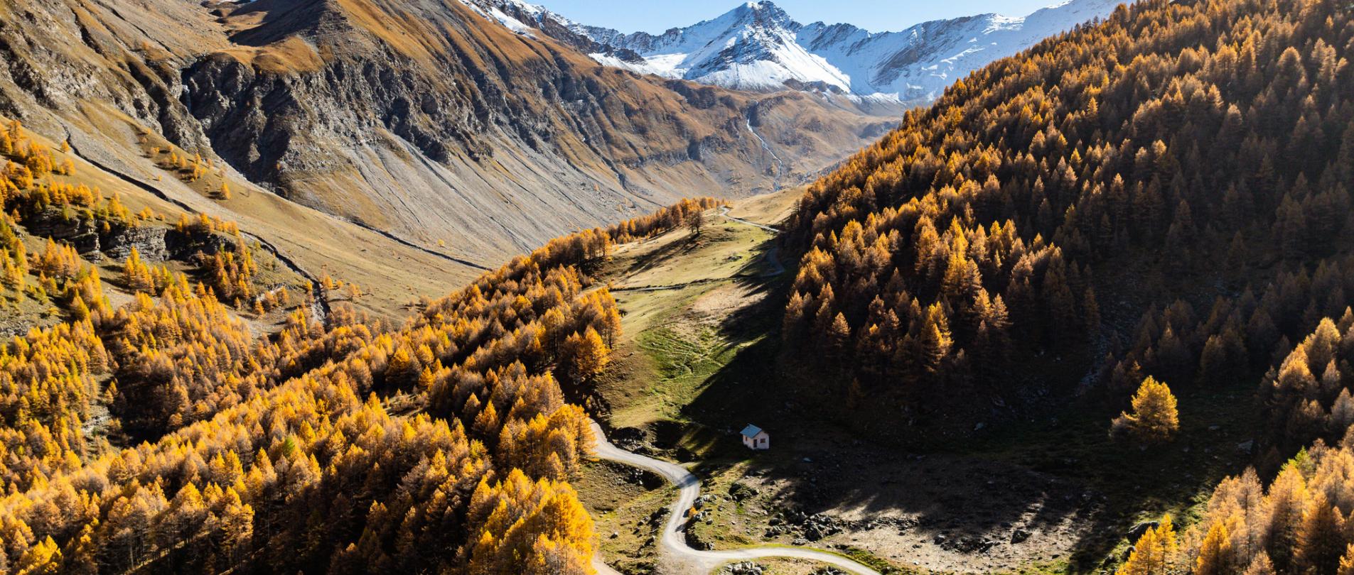 Automne