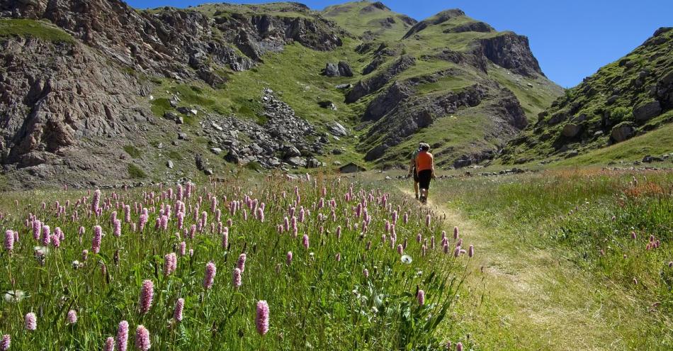 photo représentant un randonneur dans la nature, aux alentours des lodges de Valières