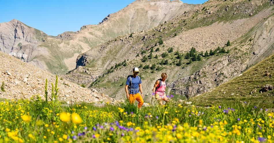 Deux randonneurs en montagne fleurie dans les Hautes Alpes